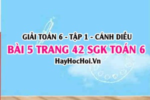 Giải bài 5 trang 42 Toán 6 Tập 1 SGK Cánh Diều